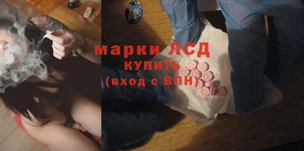 СК Вязьма