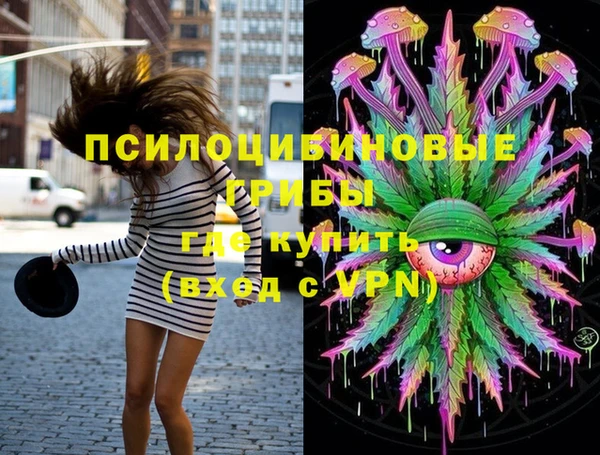 СК Вязьма