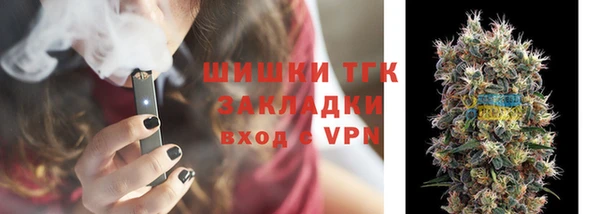СК Вязьма