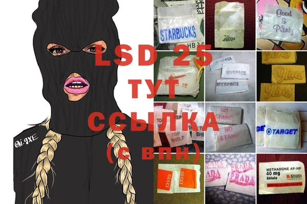 СК Вязьма