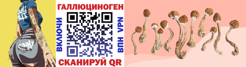 Галлюциногенные грибы мухоморы Юрюзань